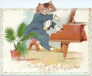 Anthropomorphism Collection: Cat playing the piano on a Christmas card