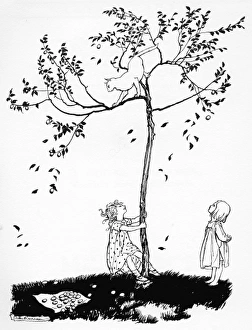 Images Dated 15th July 2011: The Cat Ran Up the Plum Tree