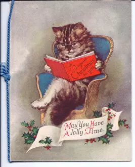 Images Dated 6th July 2018: Cat reading a book on a Christmas card