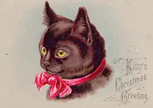 Cat in red ribbon on a Christmas card