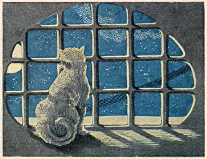 Indoors Prints: A cat sits by a window and gazes at the moon and night sky