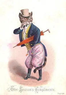 Tailcoat Prints: Cat in smart clothes on a Christmas card