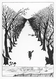 Images Dated 2nd October 2007: The Cat that Walked by Himself