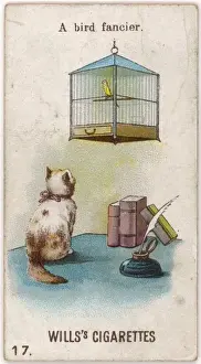 Fascinated Prints: Cat Watches Caged Bird