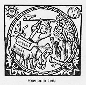 Catalan Farmer Felling