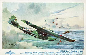 Chasing Collection: Catalina Flying Boat Catalina Flying Boat