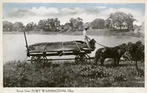 Catch of Giant Pike near Port Washington, Ohio, USA