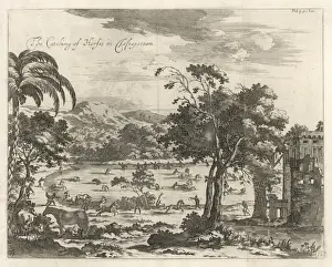 1671 Prints: Catching Horses, Ceylon