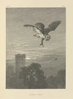Night Time Prints: Catching A Tartar