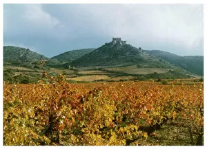 Languedoc Collection: Cathar Castle / Aguilar