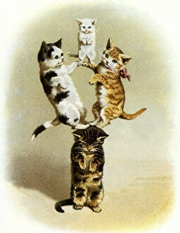 Comedy Collection: Cats Balancing on Cat Date: 1905