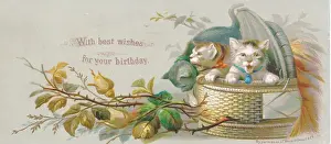 Woven Prints: Two cats in a basket on a birthday card