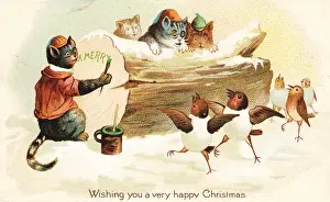 Cats and birds on a Christmas card