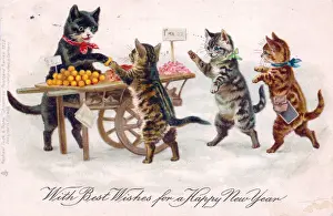Cats buying fruit on a New Year postcard