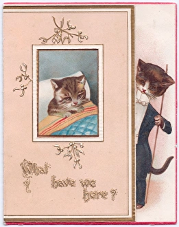 Two cats on a Christmas card