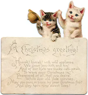 Two cats on a Christmas card