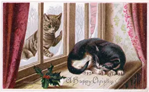 Two cats on a Christmas card