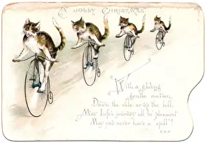 Four cats on a Christmas card