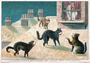 Four cats on a Christmas card