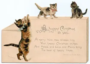 Three cats on a cutout Christmas card