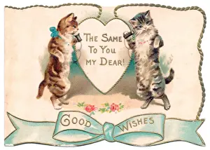 Two cats on a cutout greetings card