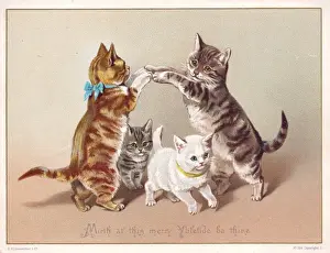 Four cats dancing on a Christmas card