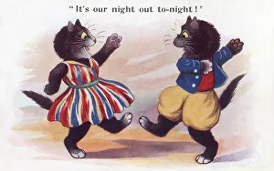 Images Dated 26th February 2019: Two cats dancing the night away