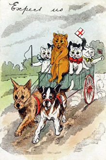 Cats Collection: Cats in a dog cart - Louis Wain