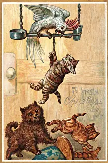 Two cats, a dog and a parrot on a Christmas card