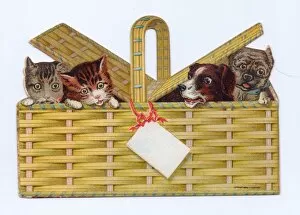 Cats and dogs in a basket on a cutout greetings card