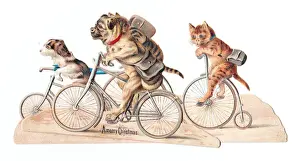 Cats and dogs on bicycles on a cutout Christmas card