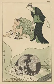 CATs DREAM