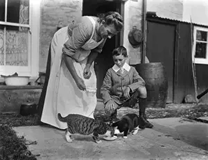 Attired Prints: Cats Drinking Milk