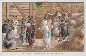 Barn Prints: Cats enjoying a dance on a Christmas card