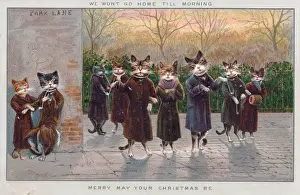 Muff Prints: Cats enjoying an evening out on a Christmas card