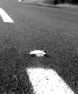 Images Dated 31st August 2016: A Cats-Eye, device for helping drivers at night