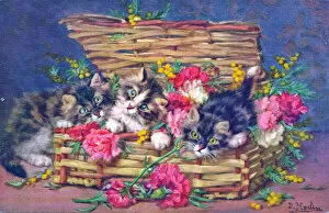 Cats and flowers in a wickerwork basket on a postcard