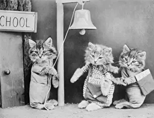 Rings Prints: Cats Going to School