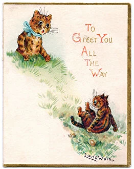Grassy Collection: Two cats on a greetings card