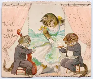 Three cats on a greetings card