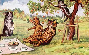 Climb Prints: Four cats having a picnic