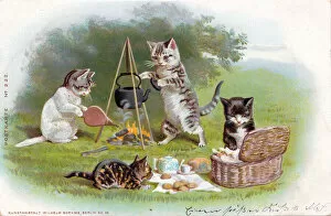 Cats having a picnic on a German postcard