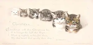 Six cats and kittens on a Christmas card