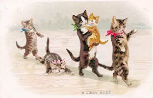 Cold Gallery: Cats and kittens on the ice on a postcard