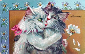Images Dated 14th June 2018: Two cats by Louis Wain on a French postcard