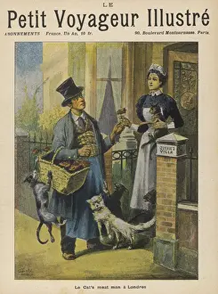 Rate Prints: The Cats Meat Man