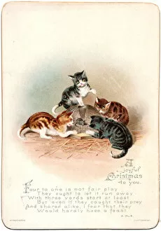 Images Dated 4th December 2015: Four cats and a mouse on a Christmas card