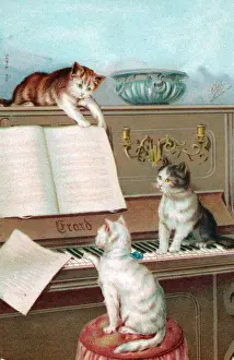 Candlestick Prints: Three cats playing the piano on a greetings postcard