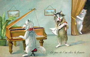 Observing Collection: Cats playing the piano and singing on a New Year postcard