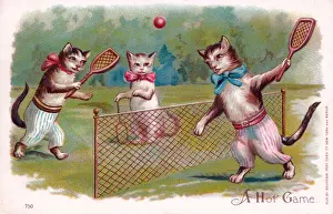 Racket Prints: Cats playing tennis on a postcard